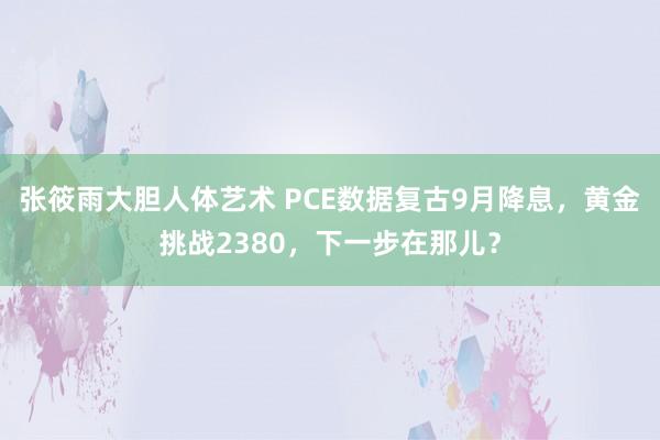 张筱雨大胆人体艺术 PCE数据复古9月降息,黄金挑战2380,下一步在那儿?