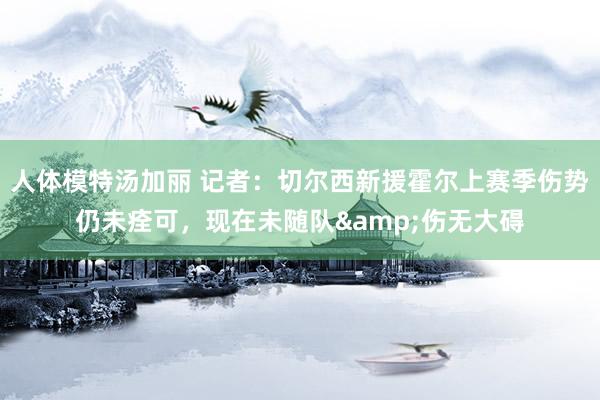 人体模特汤加丽 记者:切尔西新援霍尔上赛季伤势仍未痊可,现在未随队&伤无大碍