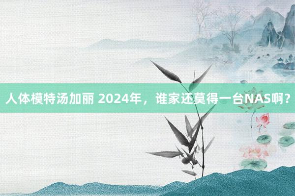 人体模特汤加丽 2024年,谁家还莫得一台NAS啊?