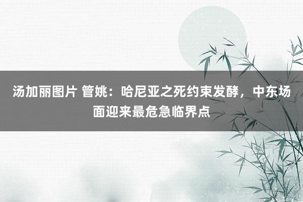 汤加丽图片 管姚:哈尼亚之死约束发酵,中东场面迎来最危急临界点
