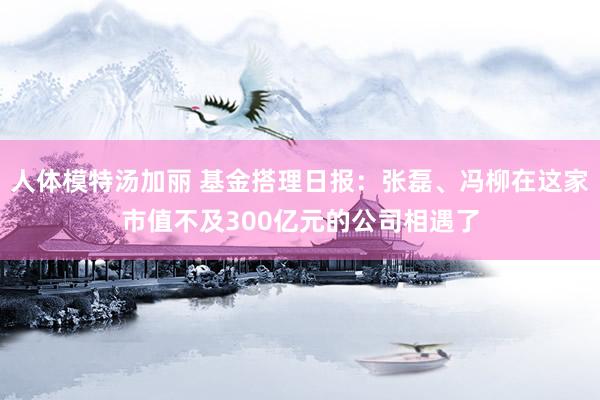 人体模特汤加丽 基金搭理日报:张磊、冯柳在这家市值不及300亿元的公司相遇了