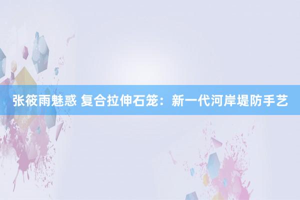 张筱雨魅惑 复合拉伸石笼:新一代河岸堤防手艺
