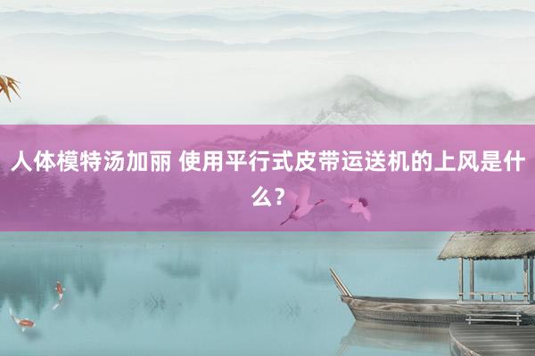 人体模特汤加丽 使用平行式皮带运送机的上风是什么?