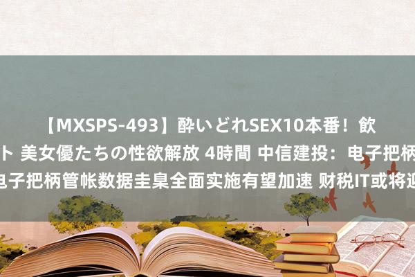 【MXSPS-493】酔いどれSEX10本番!飲んで揉まれてオールナイト 美女優たちの性欲解放 4時間 中信建投:电子把柄管帐数据圭臬全面实施有望加速 财税IT或将迎来新一轮发展机遇