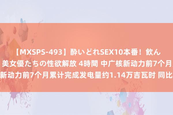 【MXSPS-493】酔いどれSEX10本番!飲んで揉まれてオールナイト 美女優たちの性欲解放 4時間 中广核新动力前7个月累计完成发电量约1.14万吉瓦时 同比减少3.9%