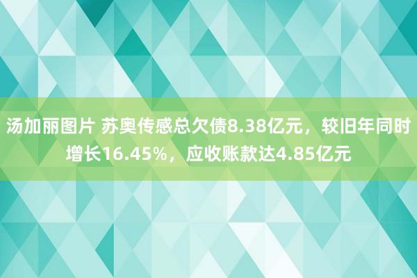 汤加丽图片 苏奥传感总欠债8.38亿元,较旧年同时增长16.45%,应收账款达4.85亿元