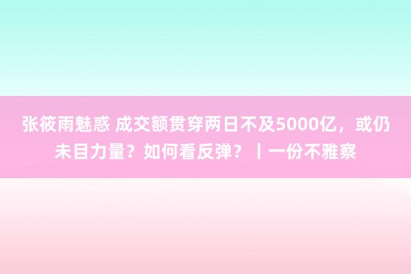 张筱雨魅惑 成交额贯穿两日不及5000亿,或仍未目力量?如何看反弹?丨一份不雅察