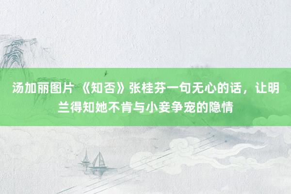 汤加丽图片 《知否》张桂芬一句无心的话,让明兰得知她不肯与小妾争宠的隐情