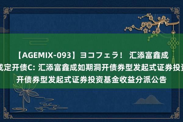 【AGEMIX-093】ヨコフェラ! 汇添富鑫成定开债A,汇添富鑫成定开债C: 汇添富鑫成如期洞开债券型发起式证券投资基金收益分派公告
