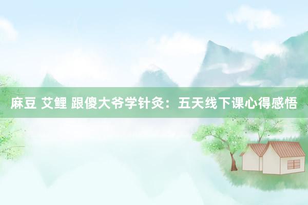 麻豆 艾鲤 跟傻大爷学针灸:五天线下课心得感悟
