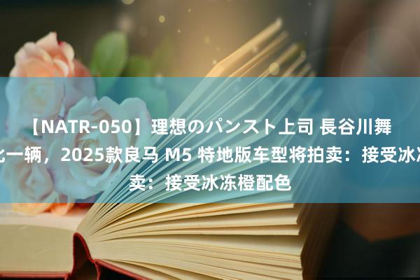 【NATR-050】理想のパンスト上司 長谷川舞 各人仅此一辆,2025款良马 M5 特地版车型将拍卖:接受冰冻橙配色