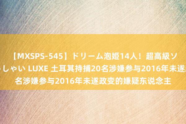 【MXSPS-545】ドリーム泡姫14人!超高級ソープランドへいらっしゃい LUXE 土耳其持捕20名涉嫌参与2016年未遂政变的嫌疑东说念主