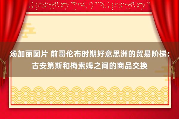 汤加丽图片 前哥伦布时期好意思洲的贸易阶梯:古安第斯和梅索姆之间的商品交换