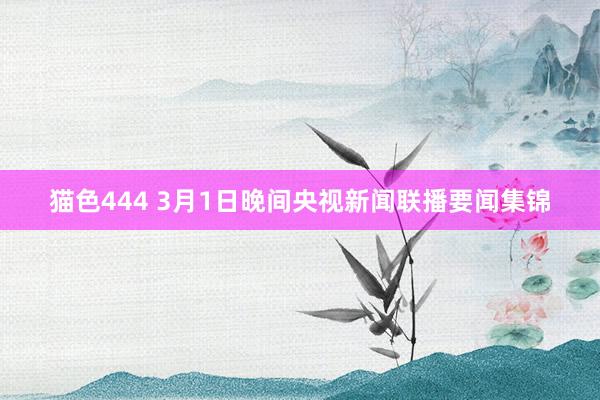 猫色444 3月1日晚间央视新闻联播要闻集锦