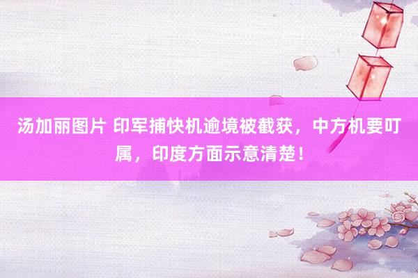汤加丽图片 印军捕快机逾境被截获，中方机要叮属，印度方面示意清楚！