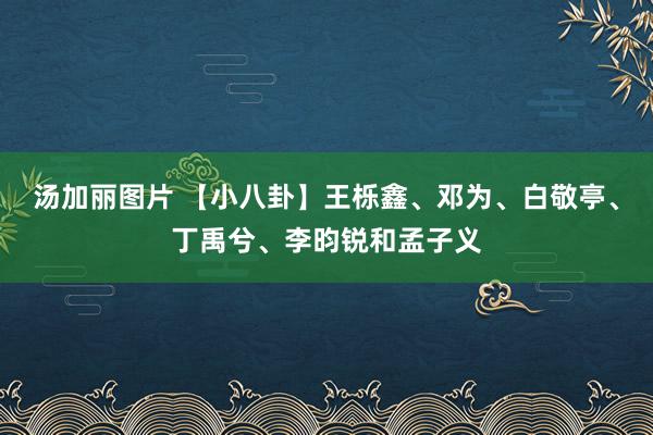 汤加丽图片 【小八卦】王栎鑫、邓为、白敬亭、丁禹兮、李昀锐和孟子义