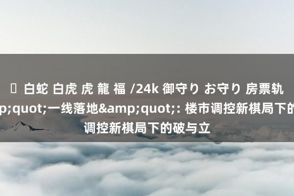 ✨白蛇 白虎 虎 龍 福 /24k 御守り お守り 房票轨制&quot;一线落地&quot;: 楼市调控新棋局下的破与立